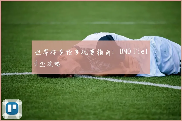 世界杯多伦多观赛指南:BMO Field全攻略